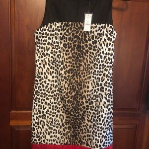 Brand new White House/Black Market Dress